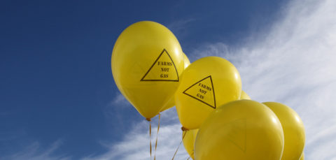 Yells balloons with slogan: 'Farms not gas'.