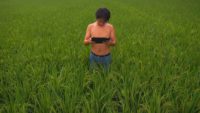Photo of a man in a green field of grass holding an iPad