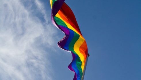 Plebiscite Same Sex Marriage Fiction Pixabay