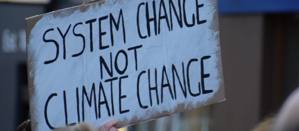 Protest sign reads System change not climate change