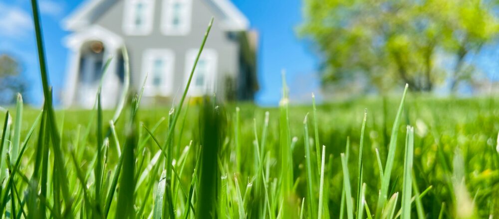 Credit to Daniel Helpiansky