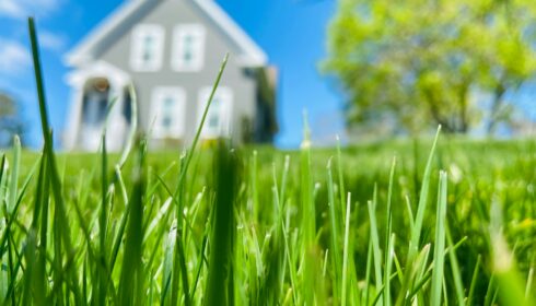 Credit to Daniel Helpiansky